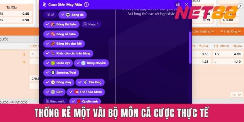 Thống kê một vài bộ môn cá cược thực tế